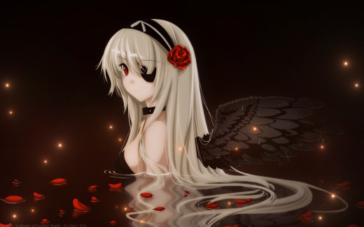 606797 (a): :2560x1600